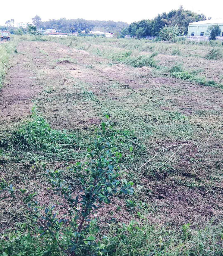 首页- 人生就是博中国官网入口