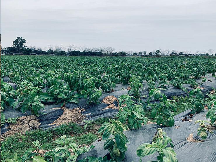 首页- 人生就是博中国官网入口