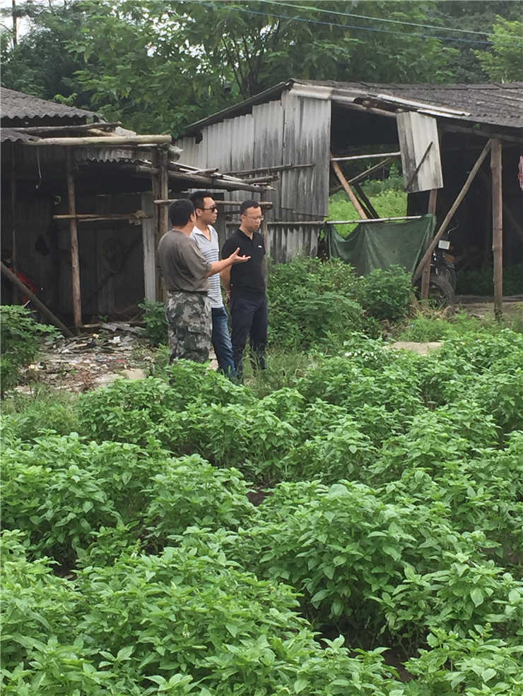 首页- 人生就是博中国官网入口