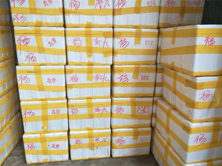 首页- 人生就是博中国官网入口