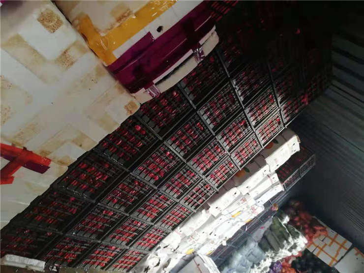 首页- 人生就是博中国官网入口