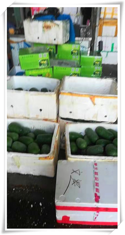 首页- 人生就是博中国官网入口