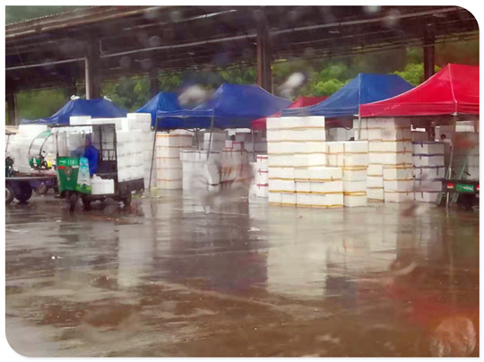 首页- 人生就是博中国官网入口