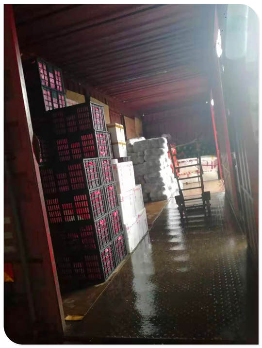 首页- 人生就是博中国官网入口