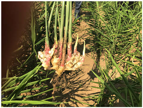 首页- 人生就是博中国官网入口