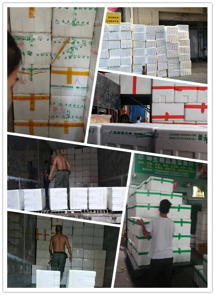 首页- 人生就是博中国官网入口