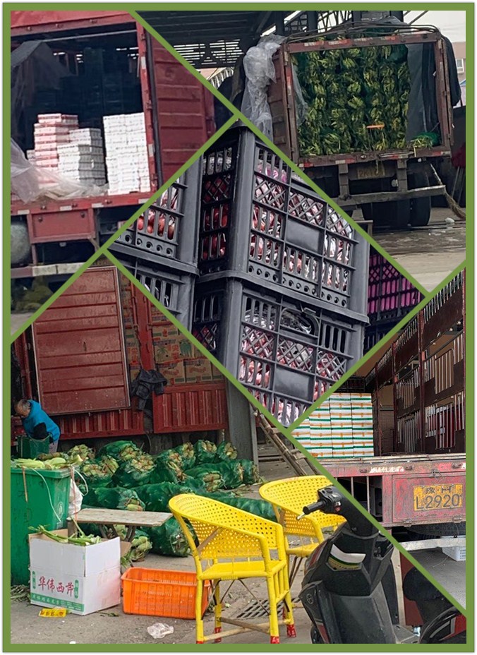 首页- 人生就是博中国官网入口