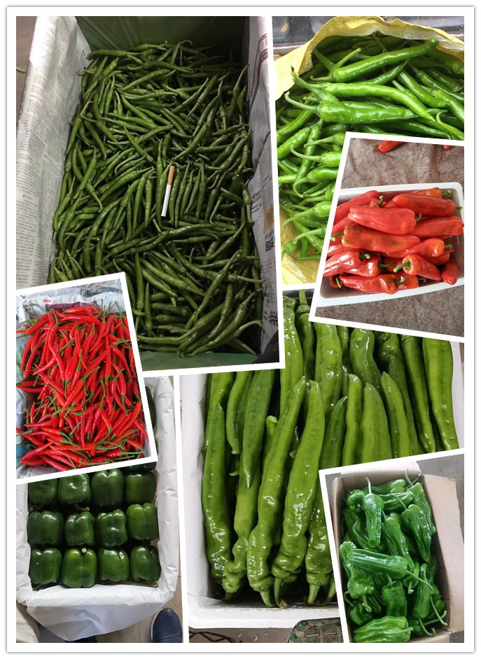 首页- 人生就是博中国官网入口