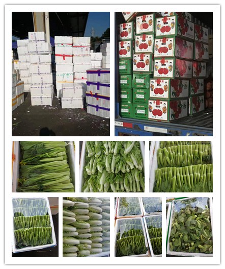 首页- 人生就是博中国官网入口