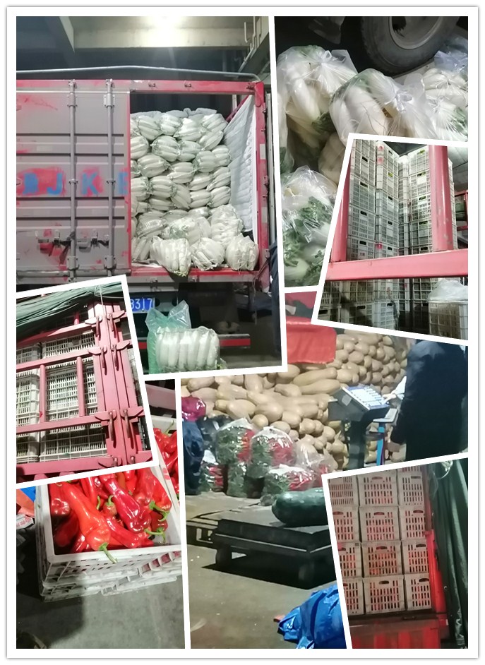 首页- 人生就是博中国官网入口