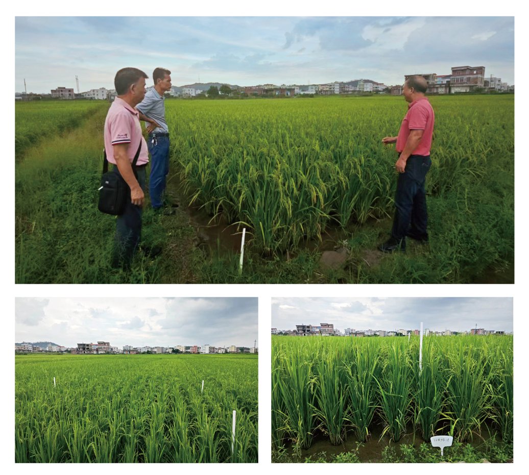 首页- 人生就是博中国官网入口