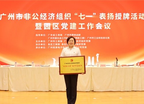 标杆引领，荣誉升级！集团党支部荣膺广州市非公有造经济组织“双强六好”标